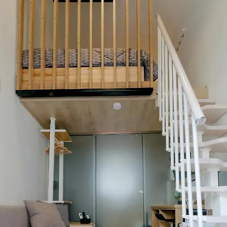 Blackhaus Young Mini *