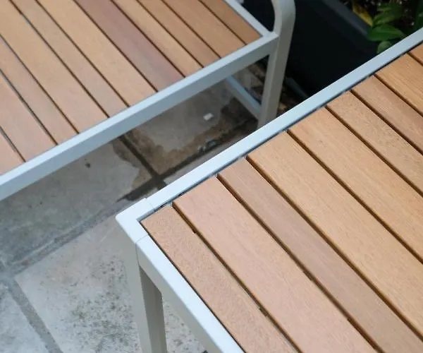 Blackhaus Young Mini