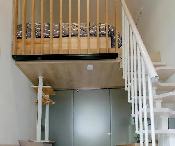 Blackhaus Young Mini *